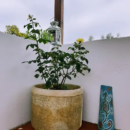 Quinta Do Aviario