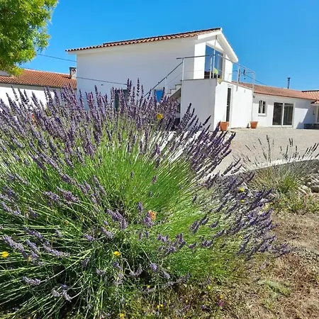 Casa de Férias Quinta Do Aviario